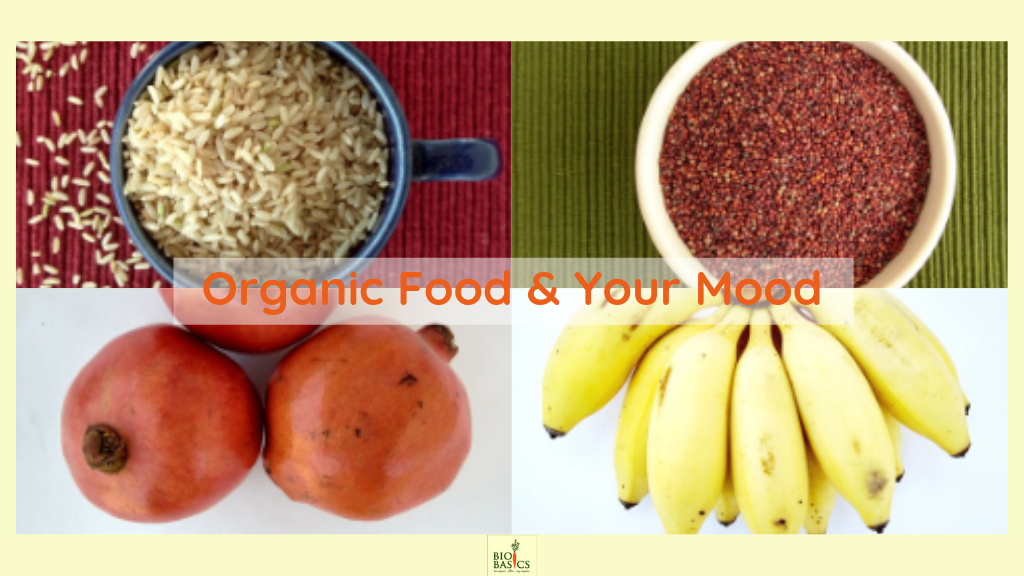 Food and Mood – The Intimate Connection – biobasics