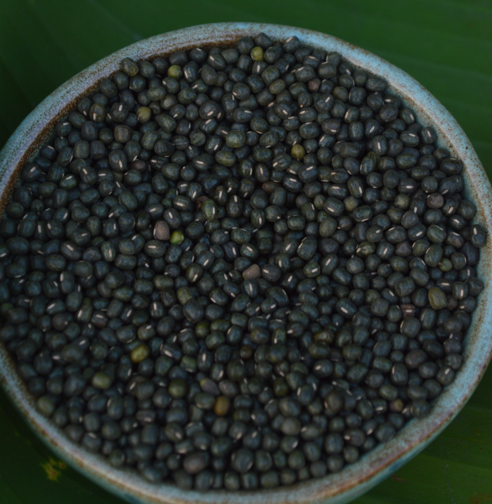Buy 100% Natural Black Moong At Bio Basics Online