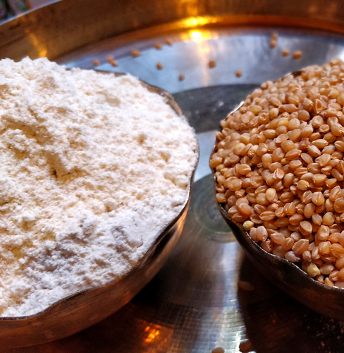 Buy Organic Pisi Wheat Flour Online At Bio Basics