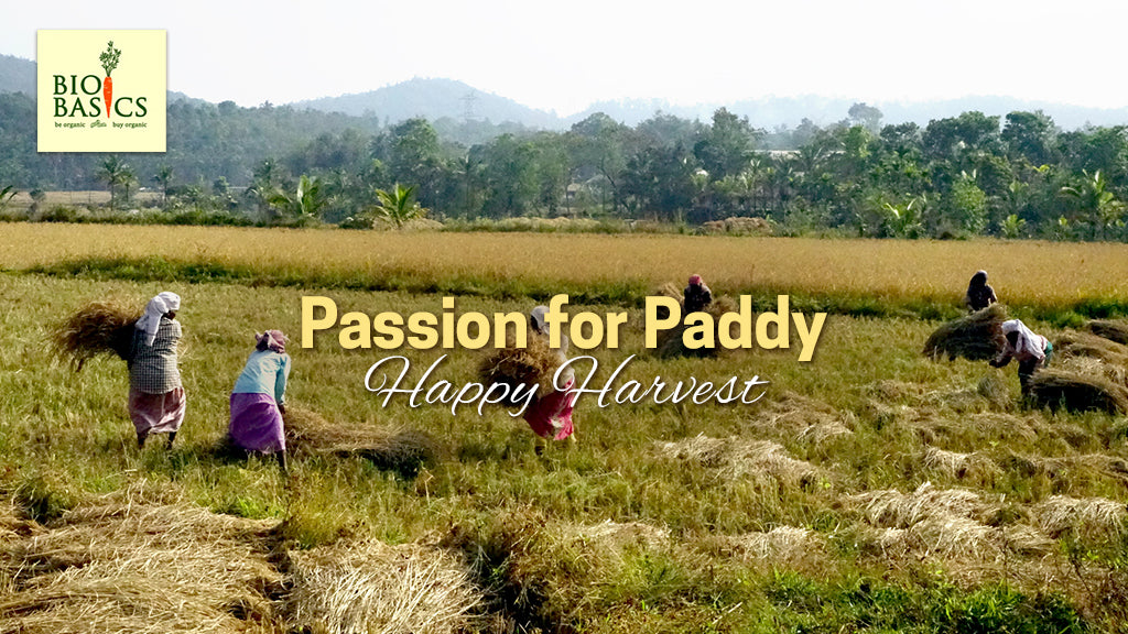 Passion for paddy – Happy Harvesting