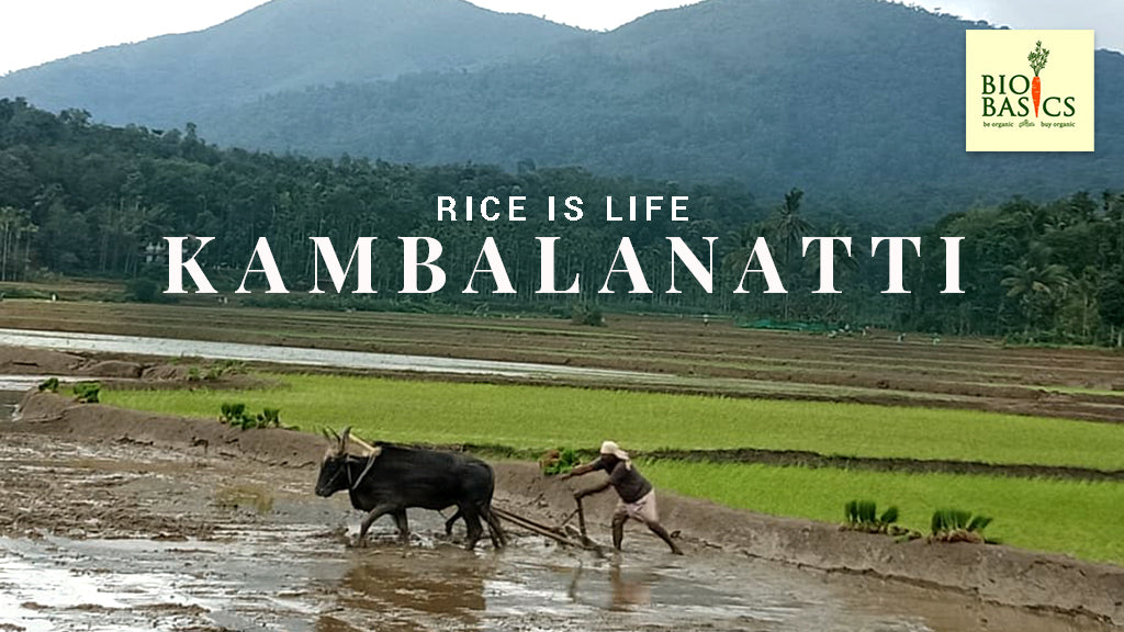 Rice is Life - Kambalanatti