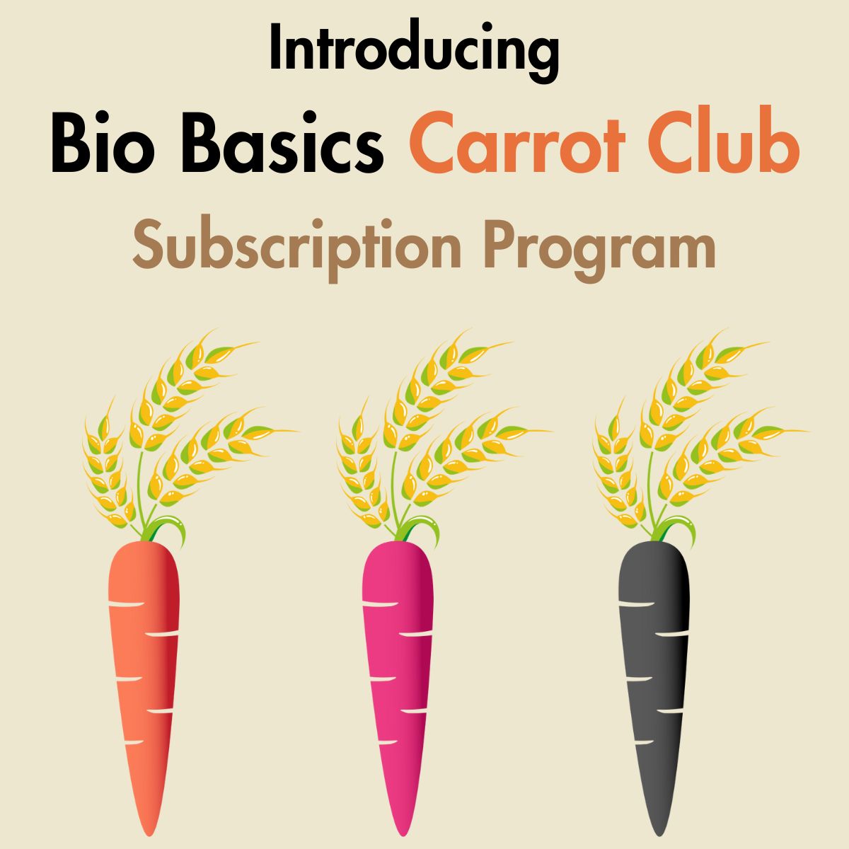 Carrot Club - Subscription Program