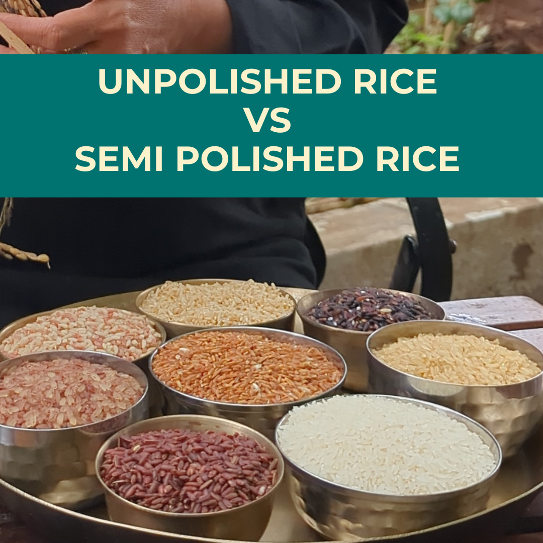Which Rice is best for you?