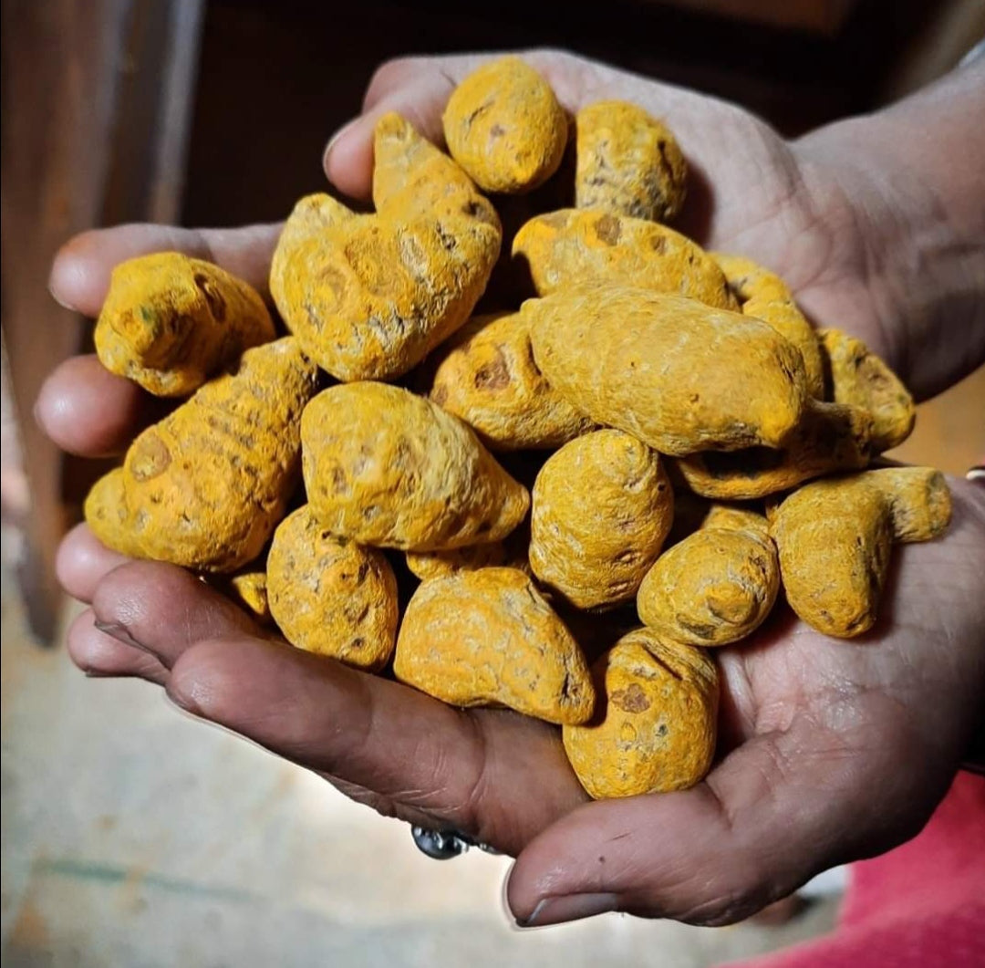 Turmeric - the ubiquitous spice!