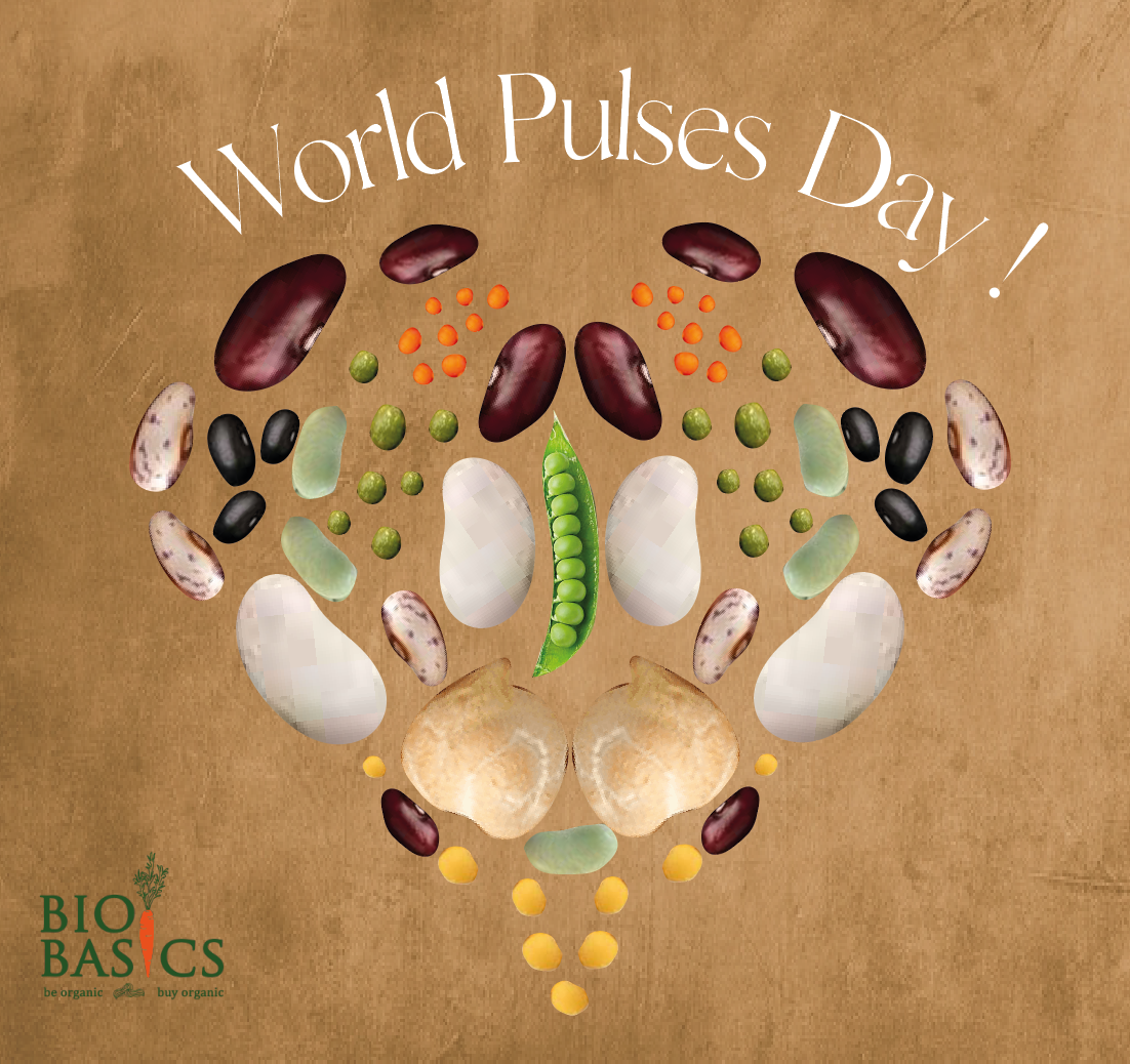 Happy World Pulses Day!