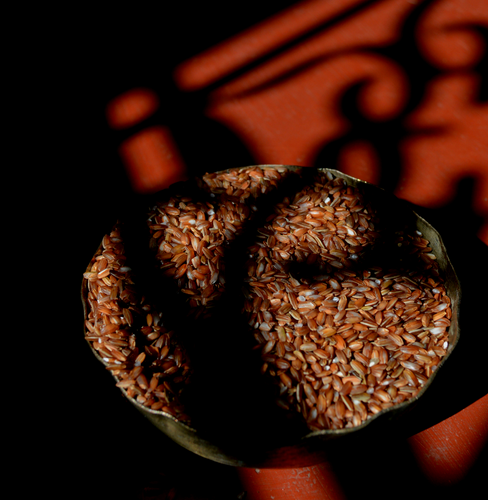 Buy Organic Rice Varieties Online | Shop Now at Bio Basics