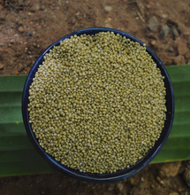 Load image into Gallery viewer, Buy organic Browntop millet online at Bio Basics 
