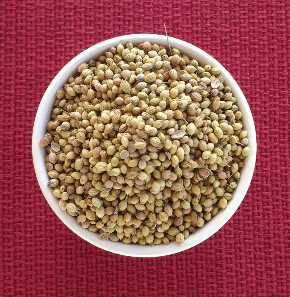 Organic Coriander Whole