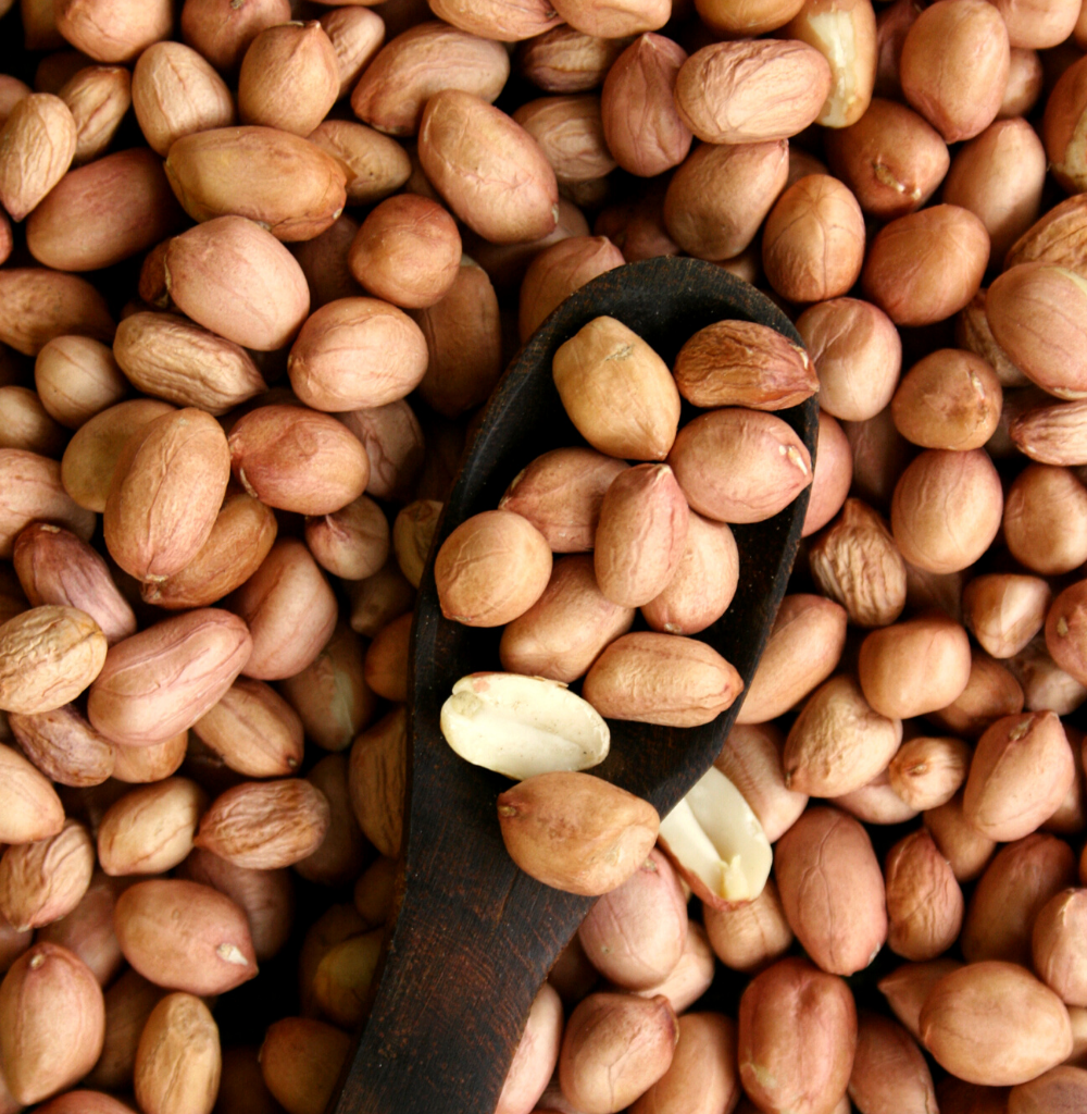 Buy organic groundnuts online at Bio Basics 