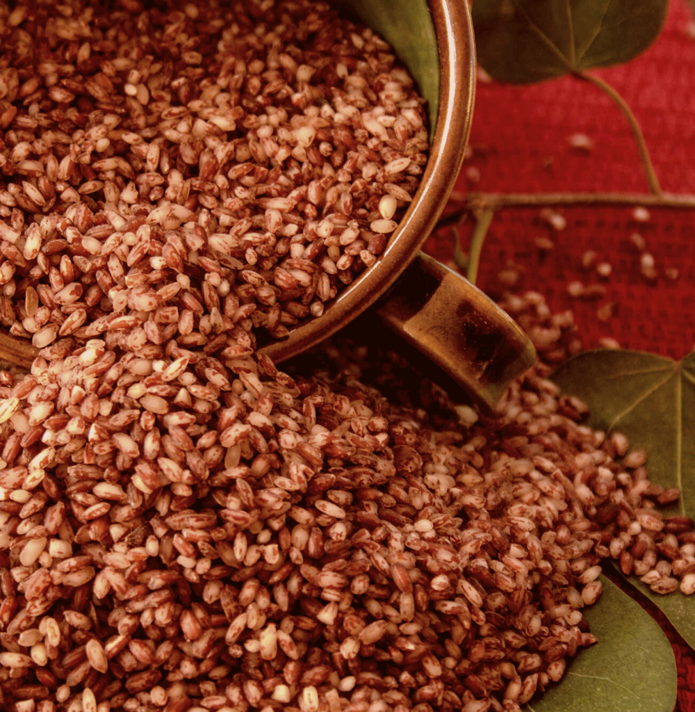 buy-organic-jyoti-matta-kerala-red-rice-online-at-bio-basics-store