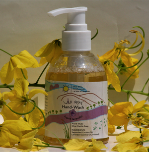 Buy Organic Lavender Handwash Online  at Bio Basics 