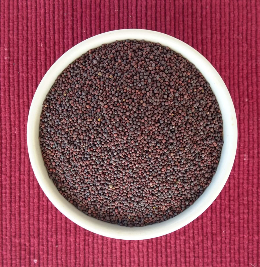 Buy Organic Mustard Kadugu Online At Bio Basics Store 