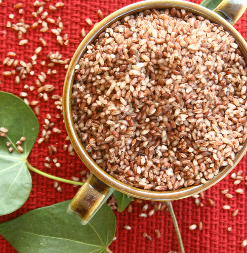 Buy Organic Uma Red Rice Online At Bio Basics