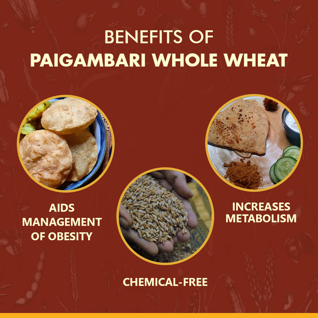 Buy paigambari whole wheat flour at Bio Basics