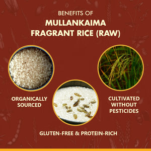 mullankaima_fragrantRice_Raw-online-at-biobasics