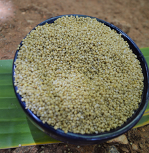 Load image into Gallery viewer, Order organic Browntop millet online at Bio Basics 
