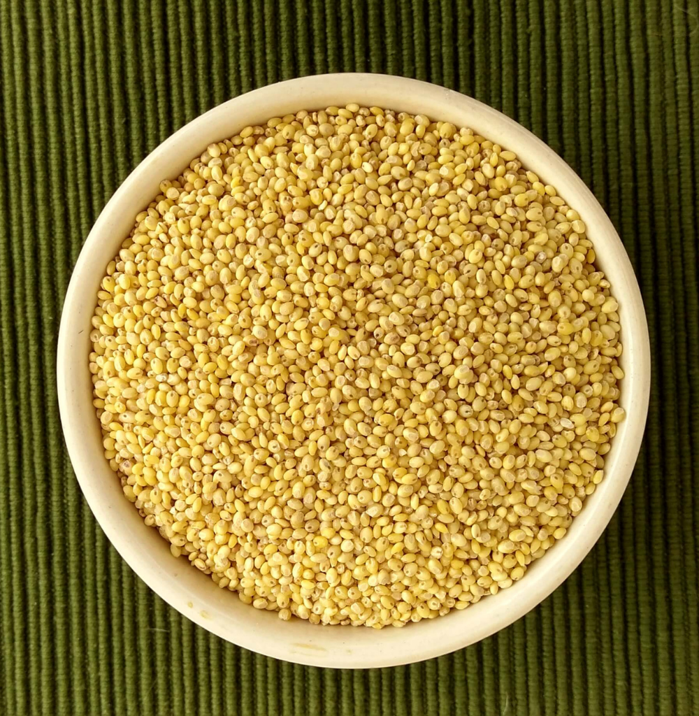 Order Organic Proso Millet Online At Bio Basics Store