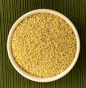 Order Organic Proso Millet Online At Bio Basics Store