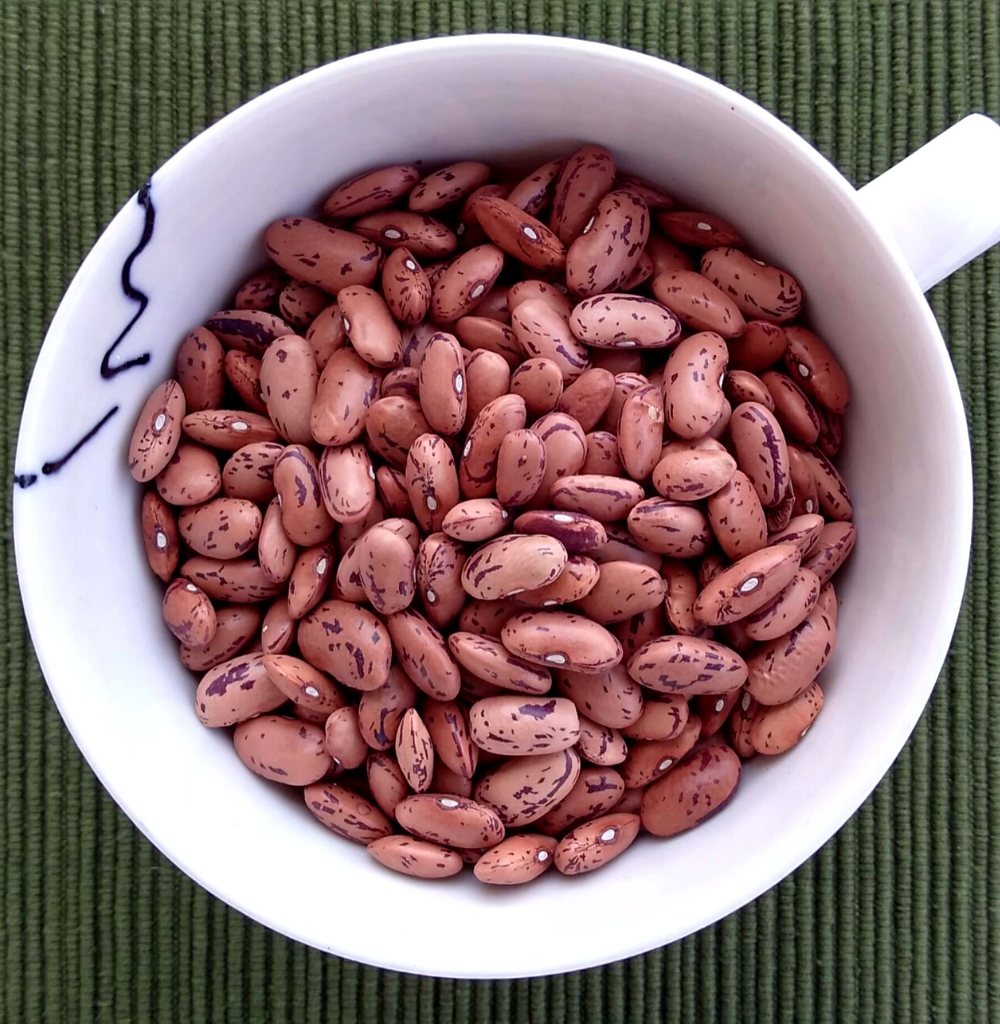 Rajma shop