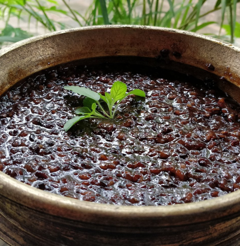 Shop organic black rice online at Bio Basics store now