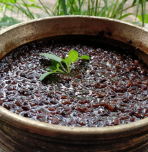 Load image into Gallery viewer, Shop organic black rice online at Bio Basics store now
