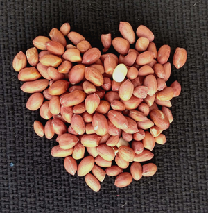 Shop organic groundnut online at Bio Basics