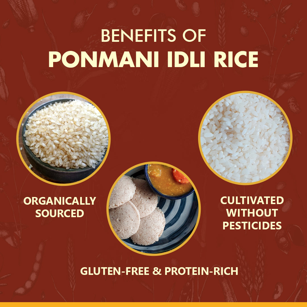 Shop organic ponmani idli rice online at Bio Basics