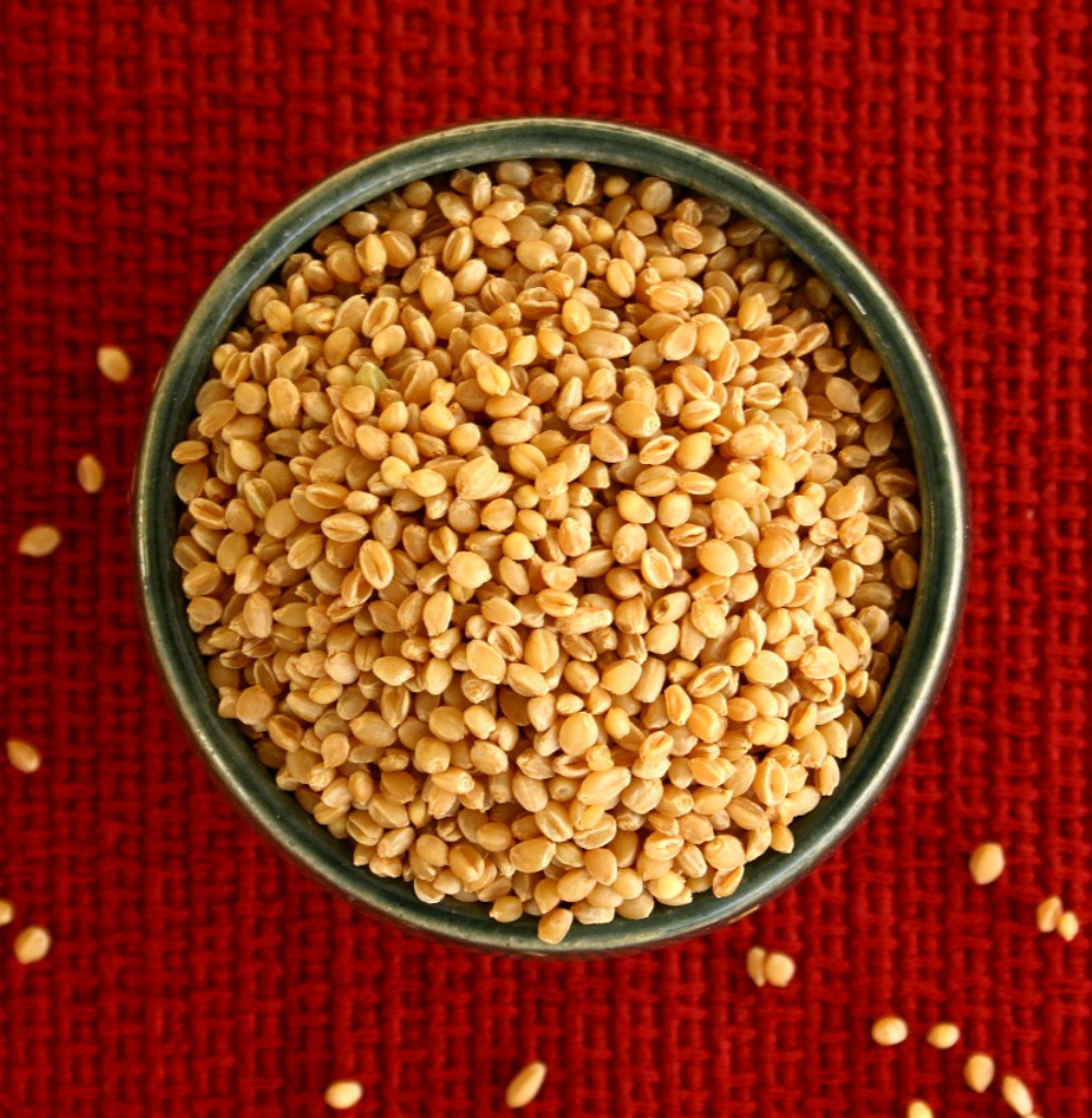 Paigambari Wheat