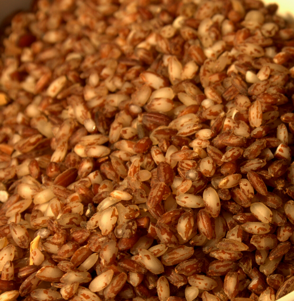 Uma (Kerala Red Rice, Parboiled)