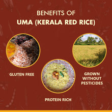 Load image into Gallery viewer, Uma (Kerala Red Rice, Parboiled)
