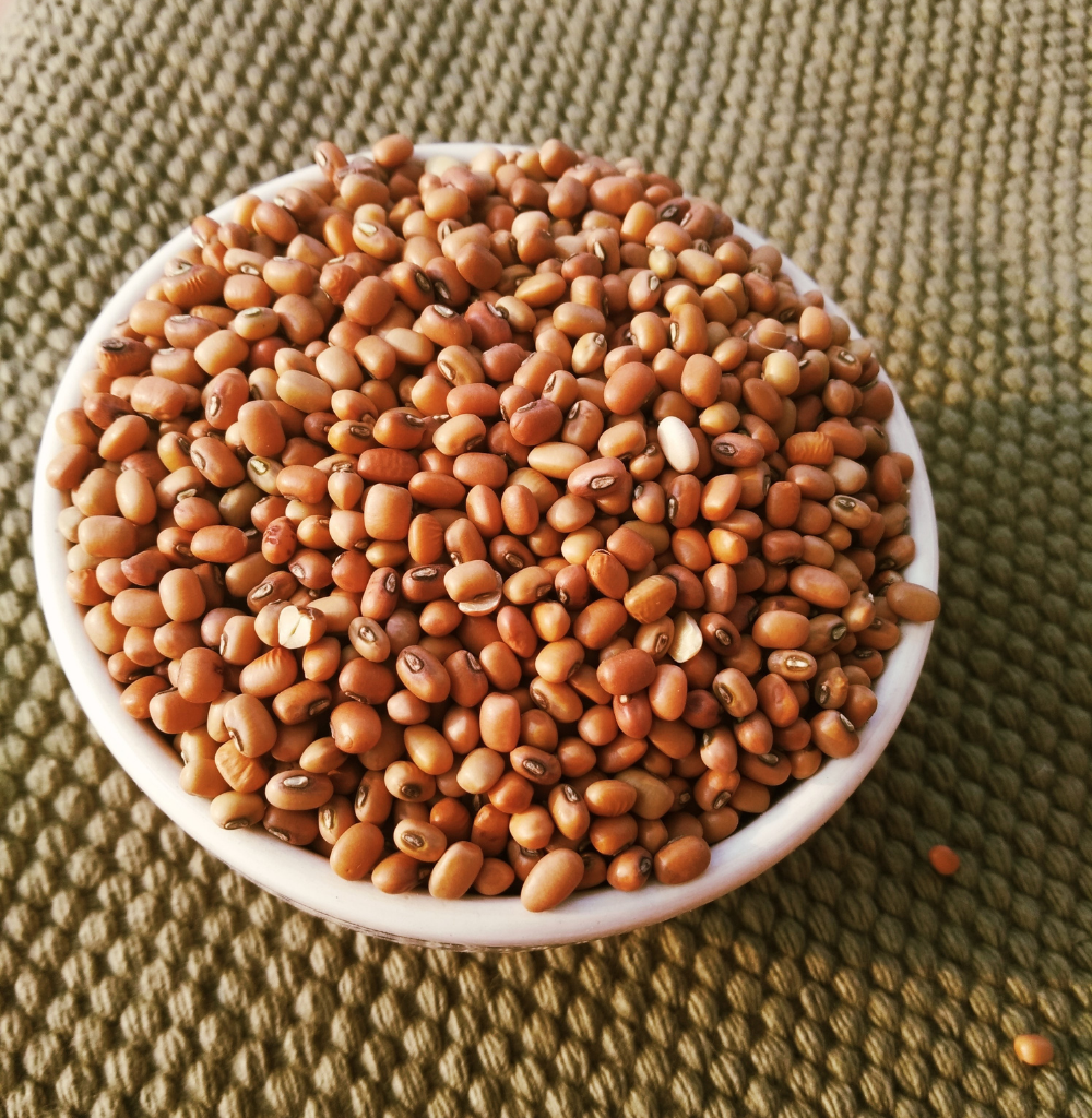 Cow Pea (Red)