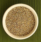 Pearl Millet