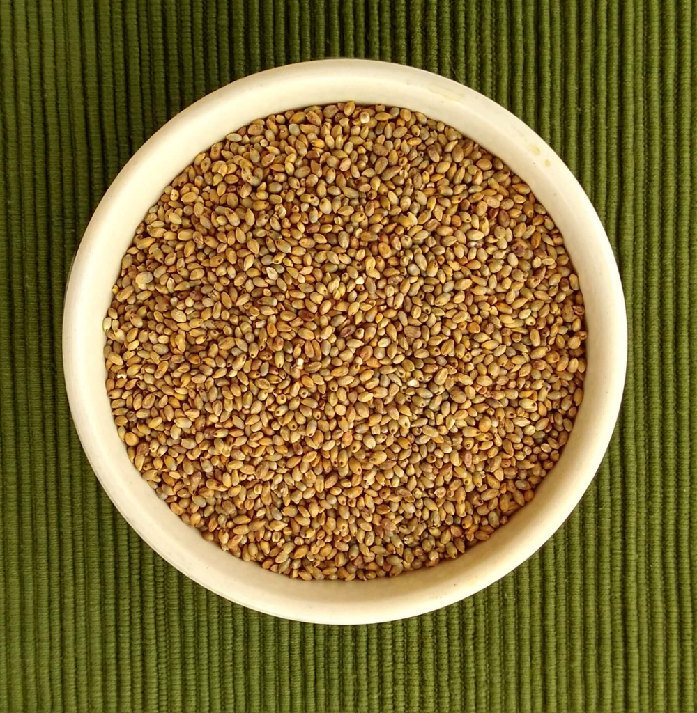 Native Pearl Millet