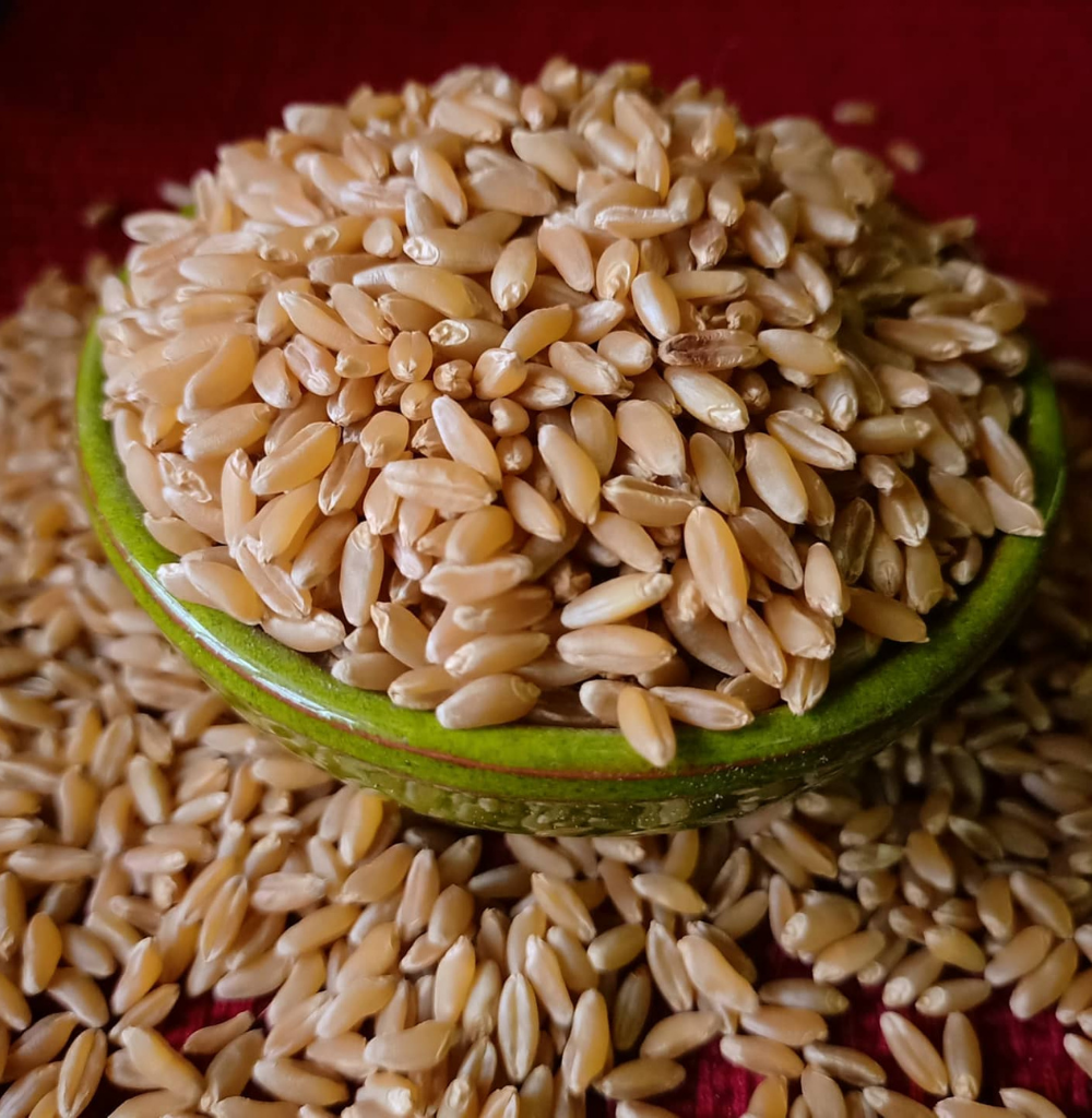 Bansi Wheat