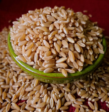 Load image into Gallery viewer, Organic Bansi Wheat
